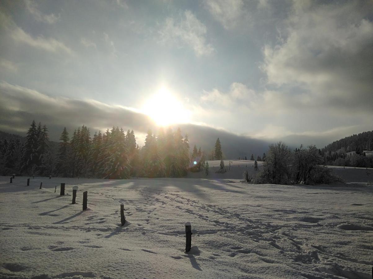 Ferienwohnungen Recherhof Hochfilzen Exterior foto